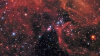 The Discoverers of Exploding Stars