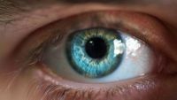 Perception: Illusions and Interpretations
