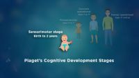 Cognitive Development across the Lifespan