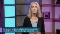 Learning: Conditioned, Reinforced, Observed