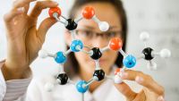 An Introduction to Stoichiometry
