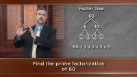 Number Theory-Prime Numbers and Divisors