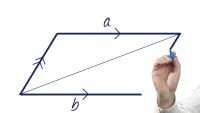 Exploring Special Quadrilaterals