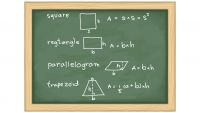Understanding Area