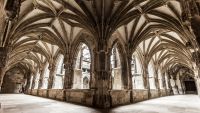 The Mathematics of Symmetry