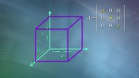 Determinants: Numbers That Say a Lot