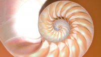 General Vector Spaces: More to Explore