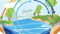Earth Cycles-Water