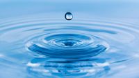 The Chemical Evolution of Life