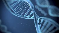 Biological Evolution-A Unifying Theme of Biology