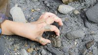 The Fact of Evolution-The Fossil Record