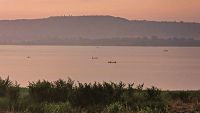 Ecosystems and the Law of Unintended Consequences
