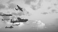 Aviation-The "Wright" Time for Flight
