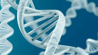 Genetic Engineering