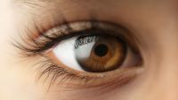 The Illusion of Coherence-How We See