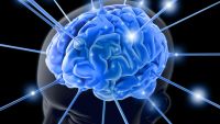 Plasticity, Brain Training, and Beyond