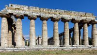From Temple to Basilica-Timber Roof Systems