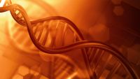 Genetics-From Mendel to Molecules