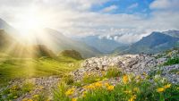 The Nature of Light and Matter