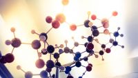 The Eloquent Chemistry of Carbon Compounds