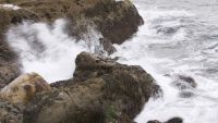What Are Tides? Earth and Beyond