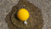 Memory, Causality, and Action
