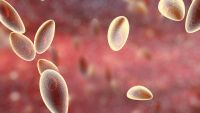 Combating Disease in the Animal Kingdom