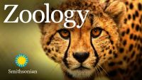 Zoology