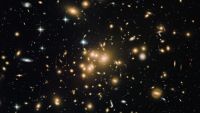 Galaxies and Clusters