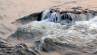 Fluid Dynamics
