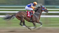 Horse Races and Stock Markets