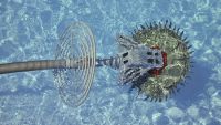 Underwater Robots That Hover and Glide
