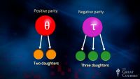 Neutrinos Violating Parity and the Weak Force