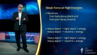 Flavor Changes via the Weak Force