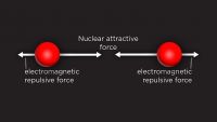 Quarks, Color, and the Strong Force