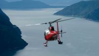 Helicopters and Vertical Flight