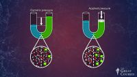 Colligative Properties of Solutions