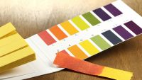 Acids, Bases, and the pH Scale