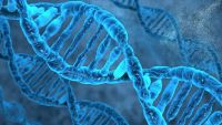 Biological Polymers