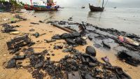 Fossil Fuel Energy: Issues and Concerns
