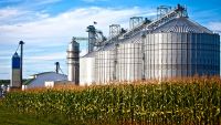 Biofuels: Biodiesel and Ethanol