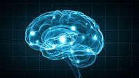 Getting Smarter about Intelligence