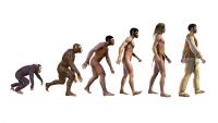 Misconceptions about Evolution