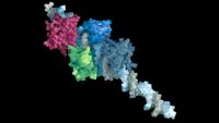 Proteins-How Things Get Done in the Cell