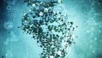 The Double Helix