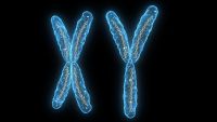 Genes and Chromosomes