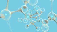 How Cells Talk-Signals and Receptors