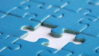 Synaptic Integration and Memory