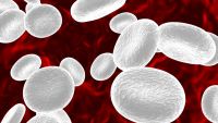 The Innate Immune System