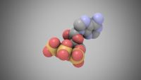 How Energy Is Harnessed by Cells